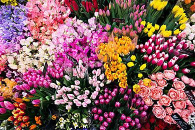 生存恐怖游戏《咒笼：诅咒领域》Steam页面上线 明年发售